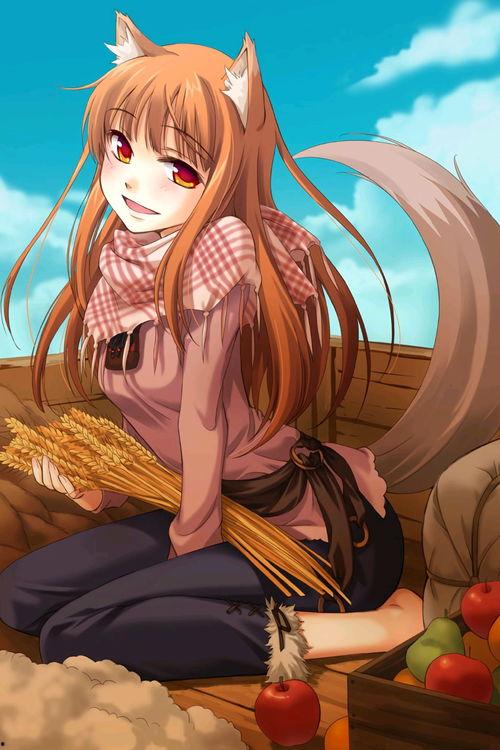 狼与香辛料原一看,狼与香辛料的奇幻冒险之旅