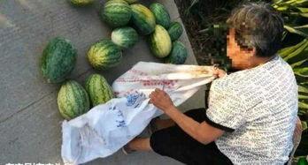 葛大爷最新吃瓜,揭秘娱乐圈幕后风云