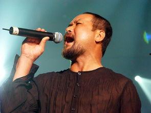 张镐哲明星,音乐人生，温暖心灵