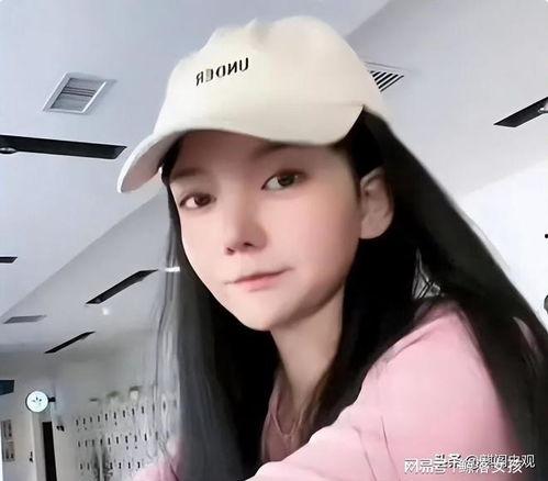 网红 杨,网络红人的崛起与影响力