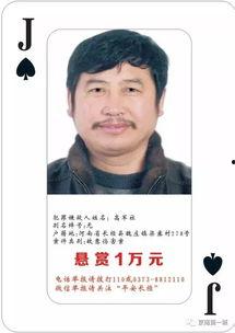 通缉令在线观看免费,揭秘神秘逃犯的惊心动魄追捕之旅