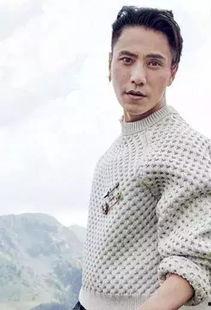 穿毛衣男明星,揭秘穿毛衣的男明星风采