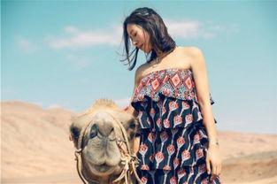 明星沙漠照,探寻荒漠中的璀璨星光