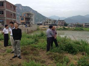 禄安县金星乡新闻头条,乡村振兴战略下的新篇章