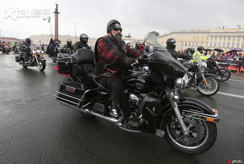 哈雷 明星,闪耀舞台的璀璨之星