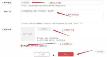 如何开通头条号手机端,手机端快速开通头条号！