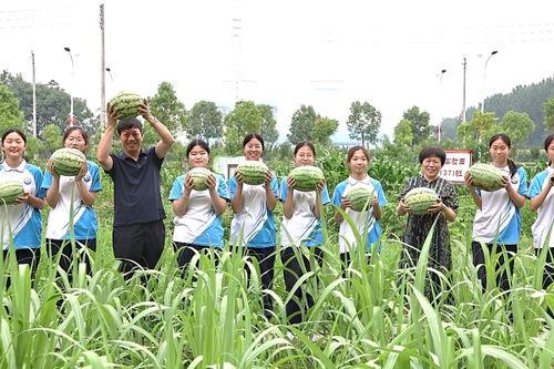 缤纷夏日幸福吃瓜,幸福瓜香——畅享夏日美味时光
