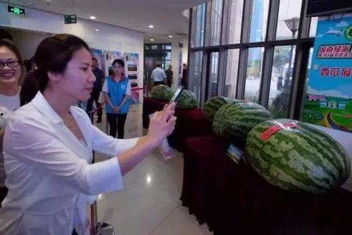 偃师最新吃瓜新闻报道,揭秘当地热点事件背后的真相