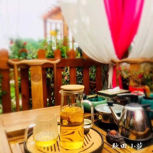 网红家庭宴,共享美味时光，打造温馨餐桌