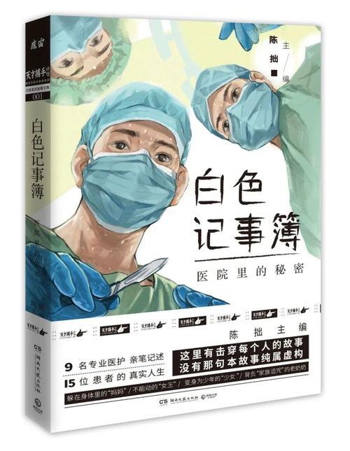 网红记事簿,揭秘网络红人的幕后生活