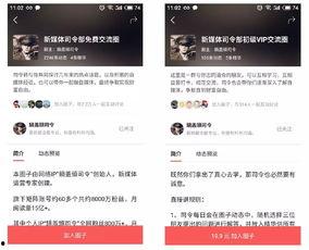 今日头条圈子怎么操作,轻松打造爆款文章副标题