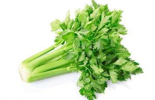 吃茄瓜可以吃芹菜吗牙疼,牙疼时的饮食搭配指南