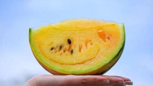 吃瓜吃的是什么瓜,揭秘各式瓜果的美食传奇