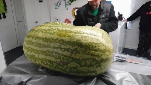 快乐吃大瓜,揭秘美食背后的快乐密码