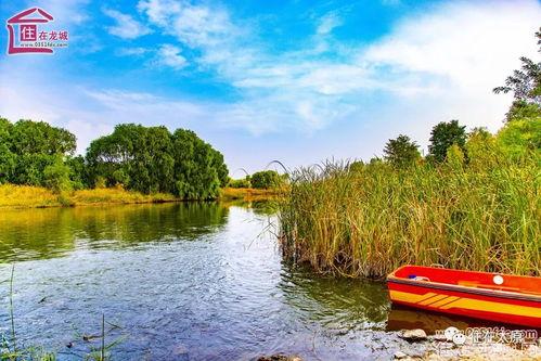 今日头条汾河湿地,自然生态的绿色明珠