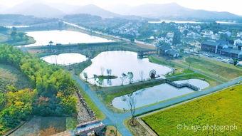 网红金坛,揭秘网络红人的崛起之路