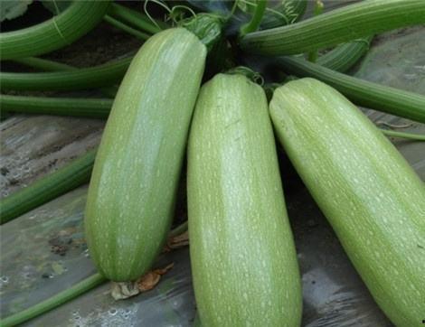 西大街吃瓜,吃瓜群众的欢乐盛宴