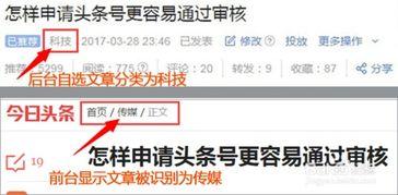 头条号分类如何排名,如何打造爆款文章副标题