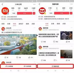 福州头条小程序,最新资讯一网打尽，尽在指尖