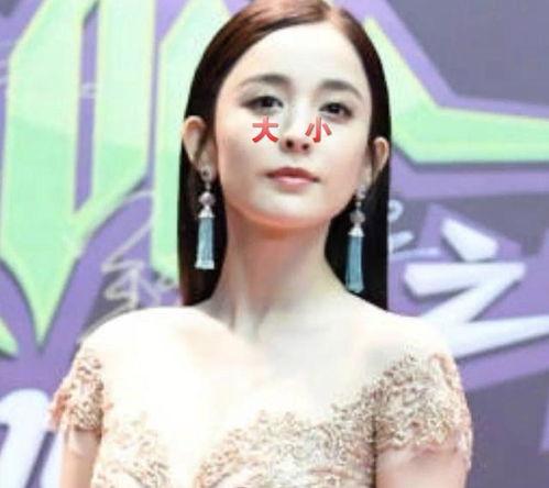 鼻孔小明星有谁