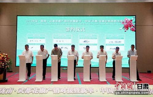 武都三区新闻头条,聚焦区域发展新动态，共绘美好未来蓝图