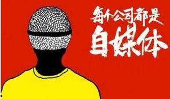 更改头条号文章领域,头条号文章领域大变革，带你领略全新视角