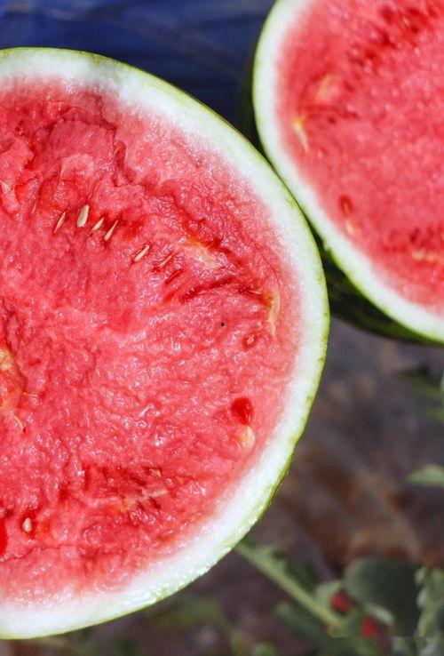 美都吃瓜事件,揭秘网络舆论的狂欢与反思