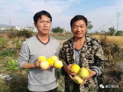 吃瓜群众758,一场全民参与的娱乐盛宴