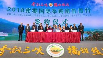 今日头条宜昌农民工,奋斗在城市的筑梦者